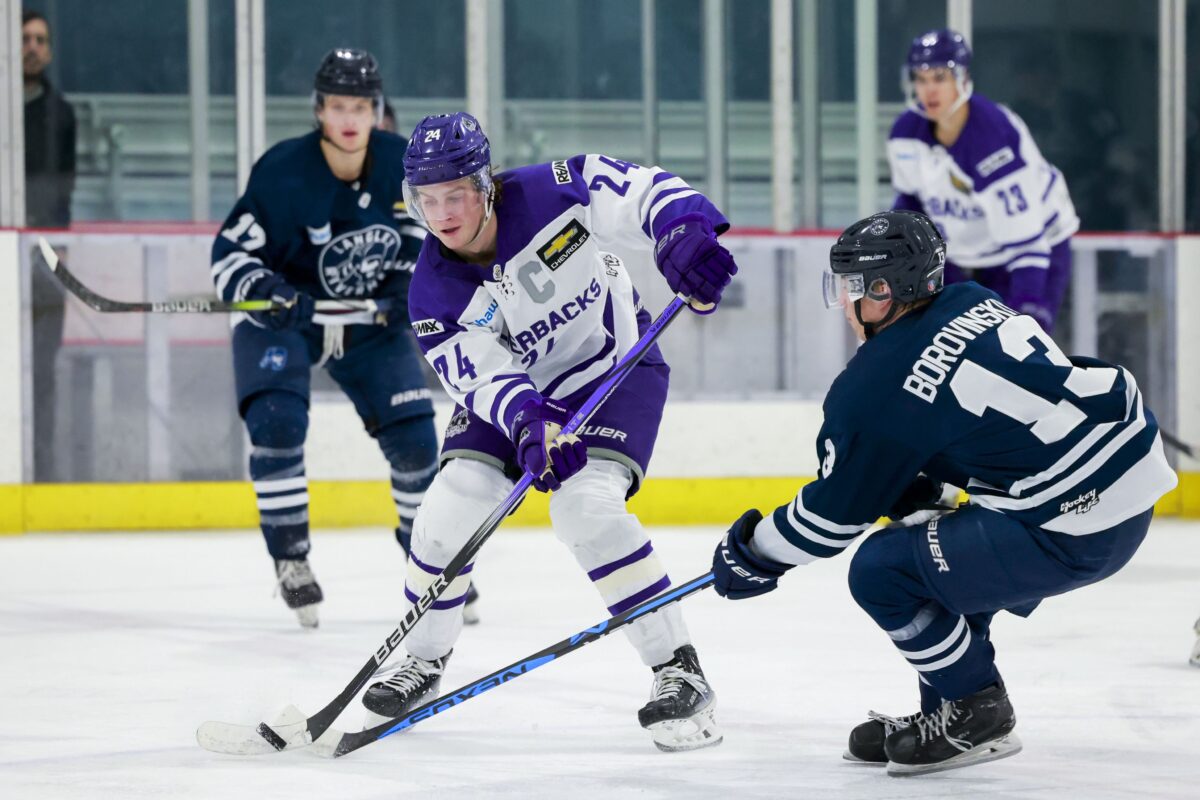 Salmon Arm Silverbacks