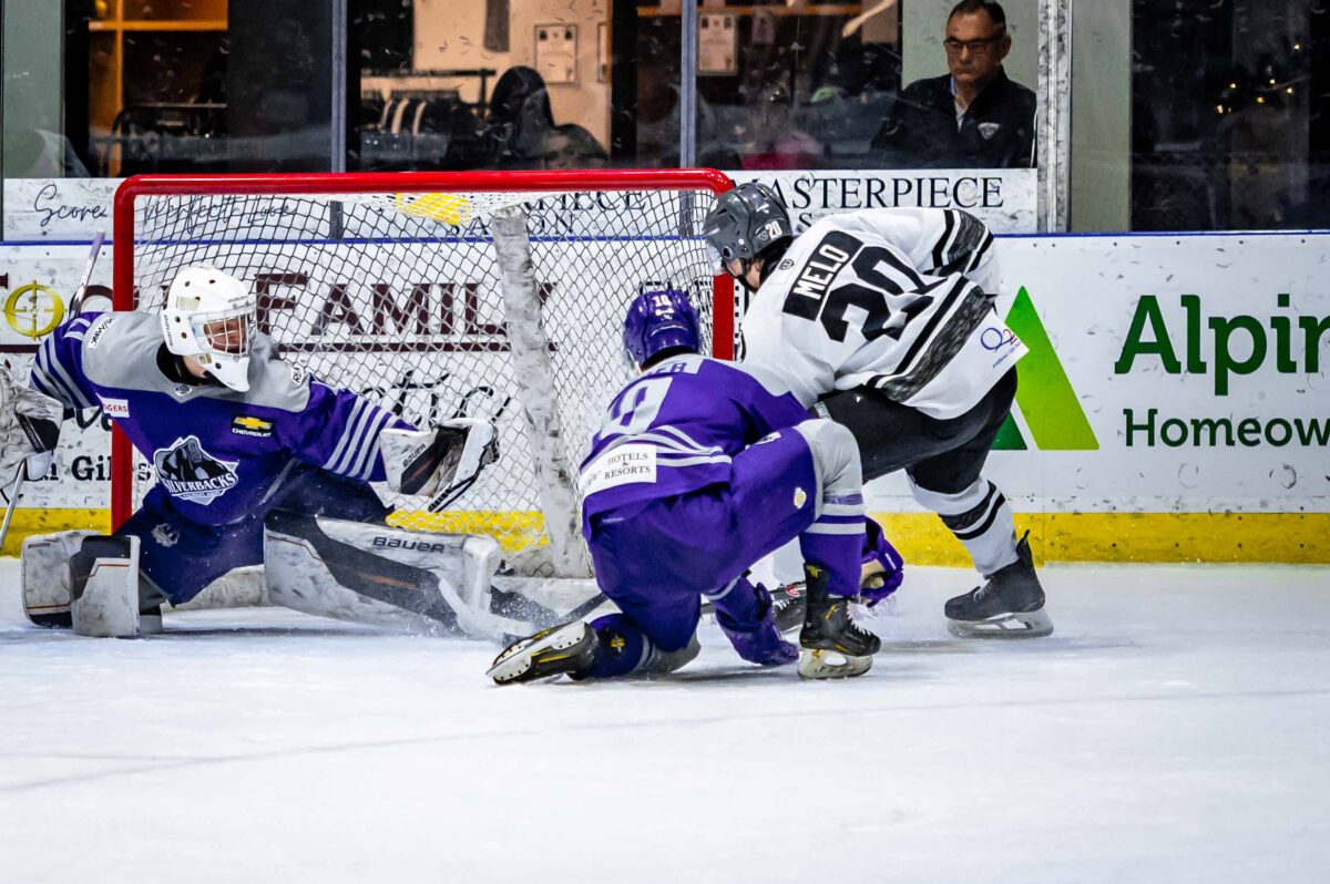 (Photo Credit: Tom Grimsdale)